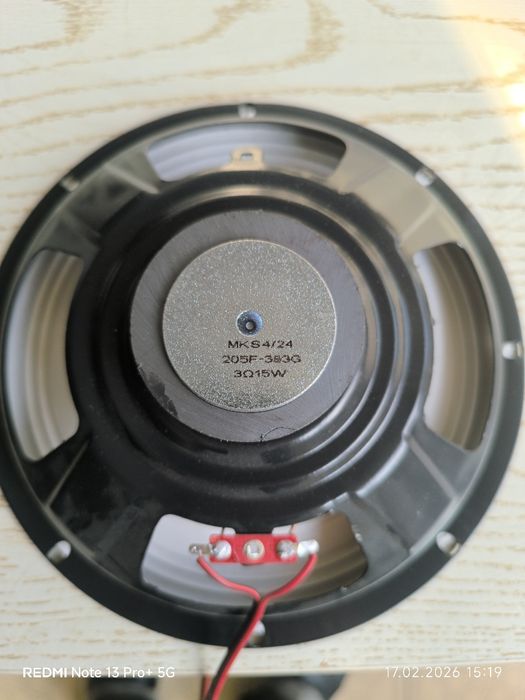 Калонка китайский