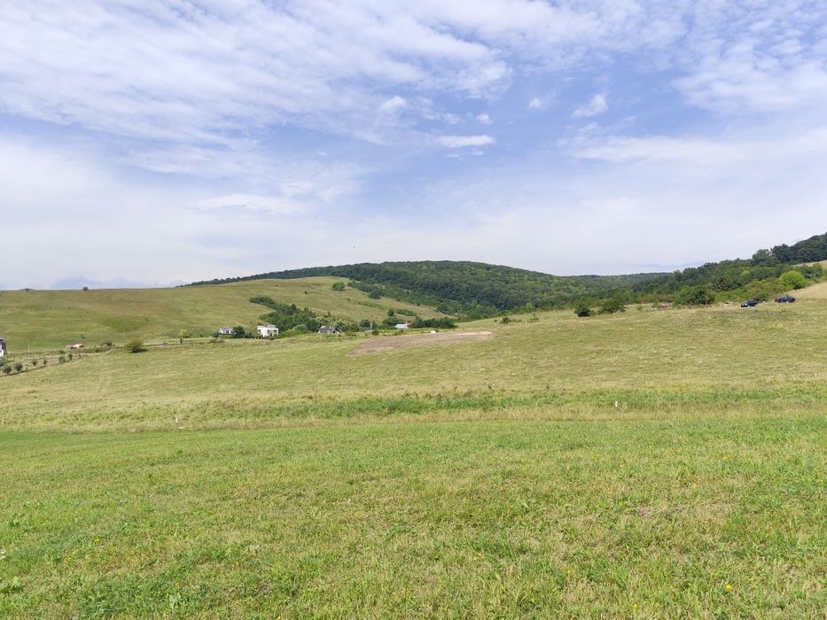 Teren construibil intravilan 5.000 mp parcelat în 2400mp + 2000mp cu drum- Piatra Neamț