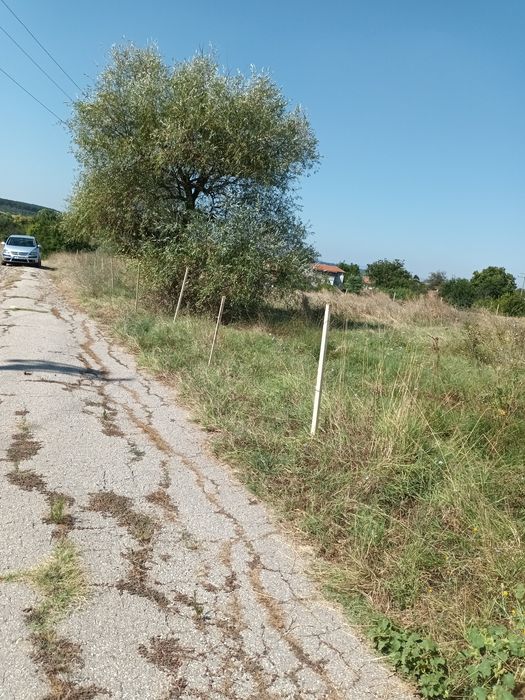 Урбанизиран парцел-3.7 дка.