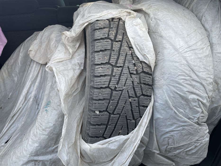 Шипованная (зимняя)