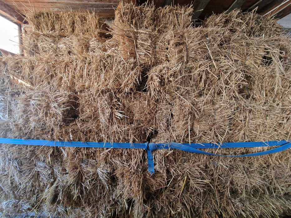 Baloți orz - PRAHOVA