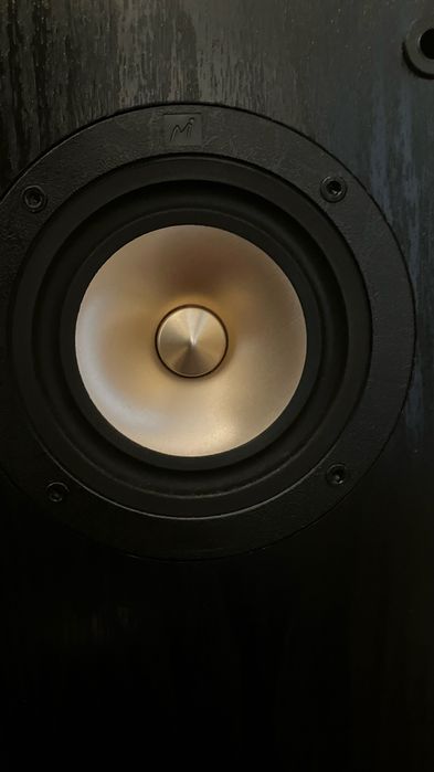 Vand boxe diy Mark Audio