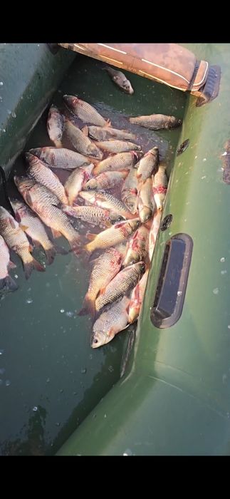 Продаётся ТОО с озером ОТРХ!!!