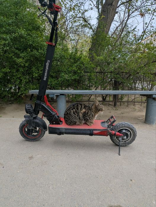 kugoo m4 pro кастом