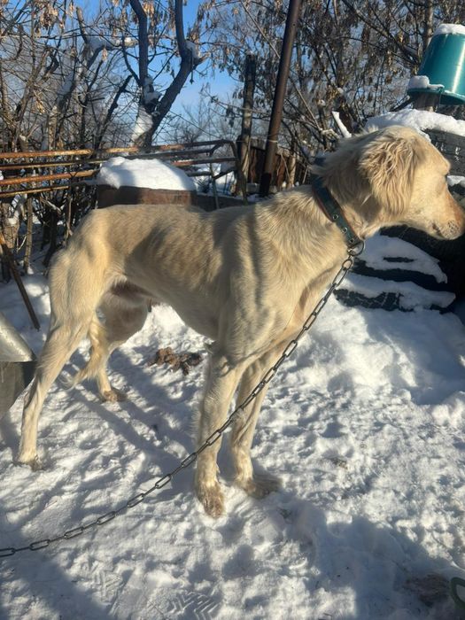 Тазыыыыыыыыыыыыы