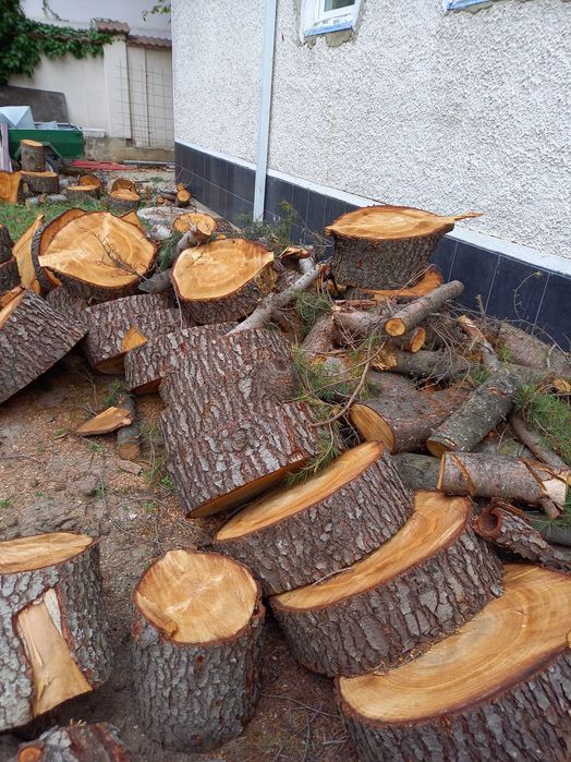 Продавам мебели за хотелски стаи.Продавам кедров  дървен  материал .