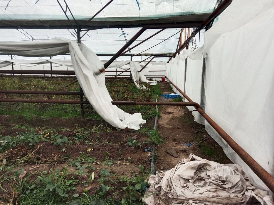 Issiq xona 4.5 sotix sotiladi