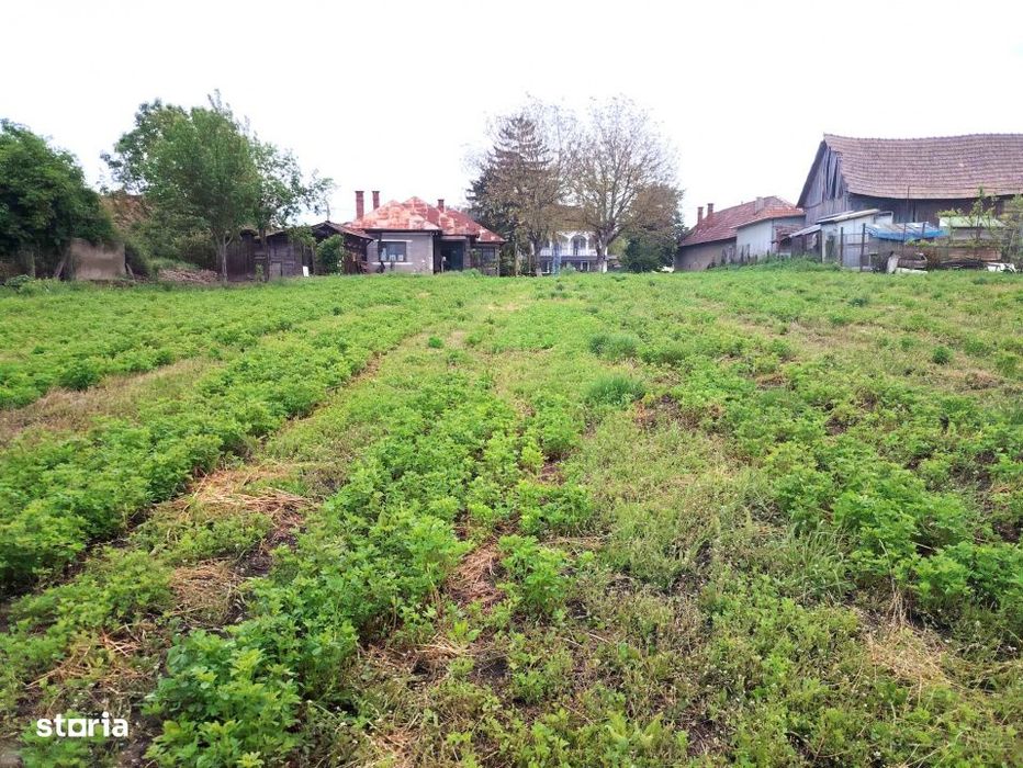 Bontida Central - Ideal pentru dezvoltare - 38 euro/mp