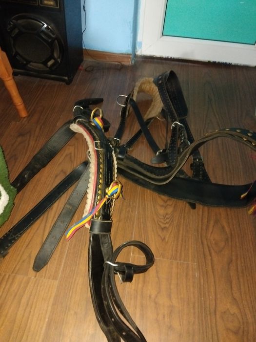 Vând ham și sidelca