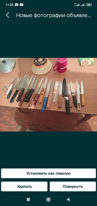 скаваротки не дорого