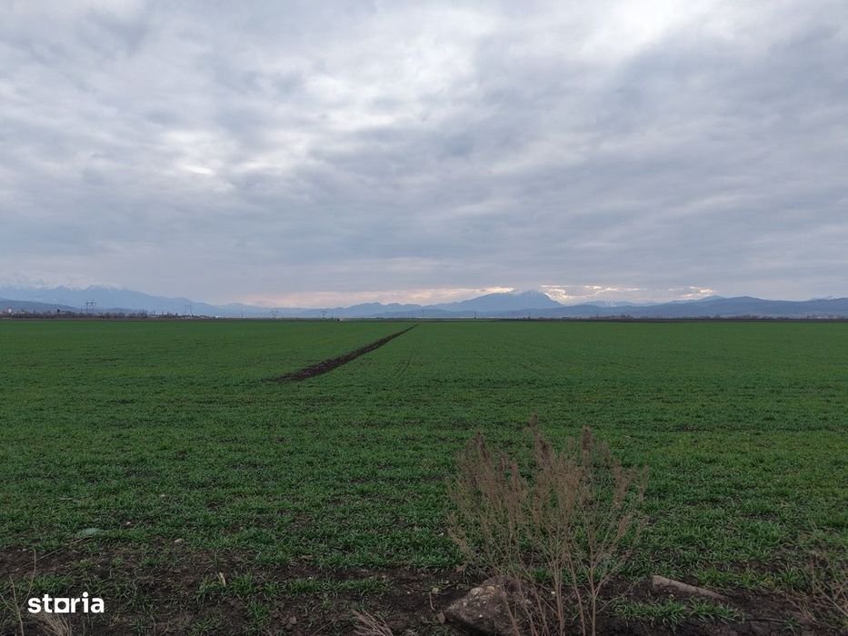 Teren de vânzare – 20.000mp – Ghimbav, lângă Parcul Industrial