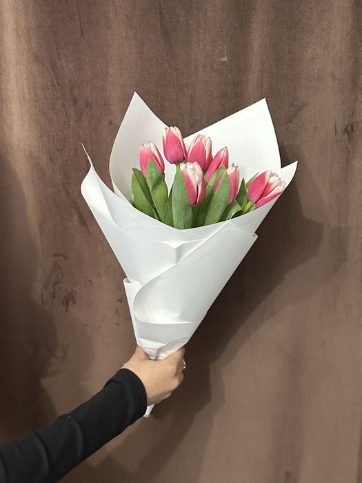 Тюльпаны оптовые заказы