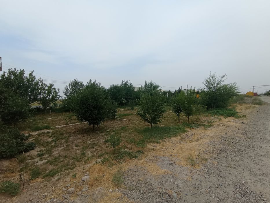 Uchastka sotiladi 6sotix+4sotix bogʻi ( yoʻl yuzida)Navoiyda