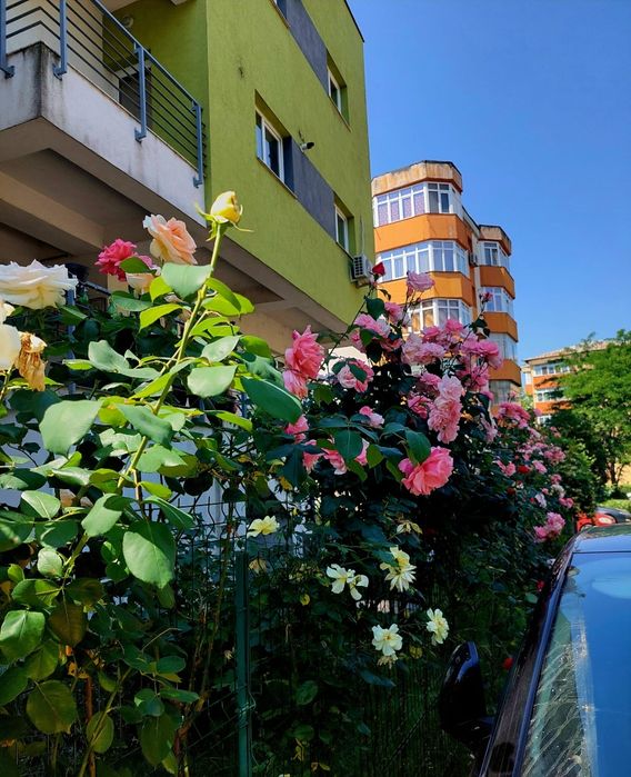 Apartament 3 camere George Enescu