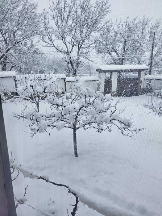 Продава се Къща в с. Дойренци, Област Ловеч - 200 кв.м за 222 €/кв.м - Снимка #11