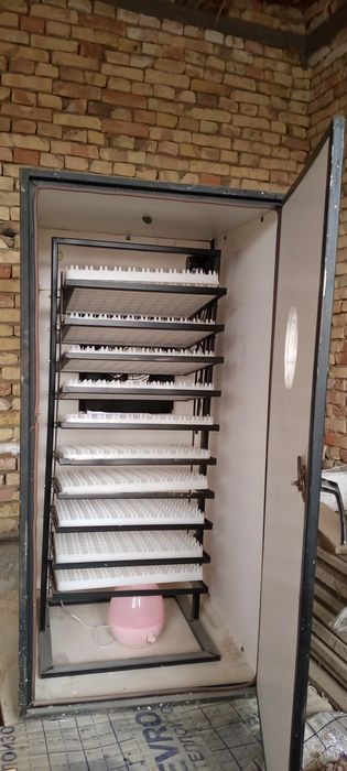 Ingkubatr 1000 talik .