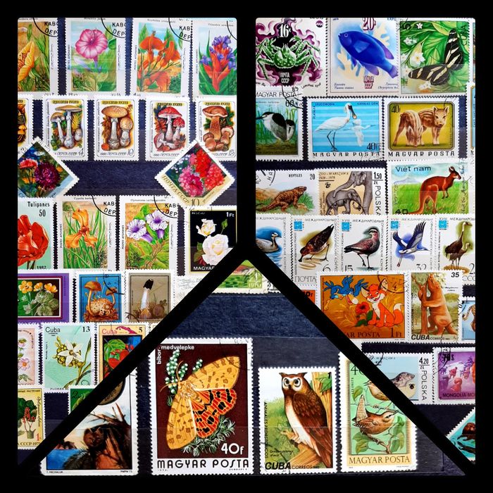 Альбом Марок СССР