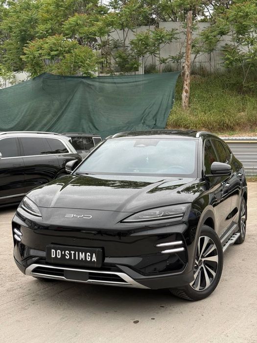 BYD Champion 2023 Qora 605 Km