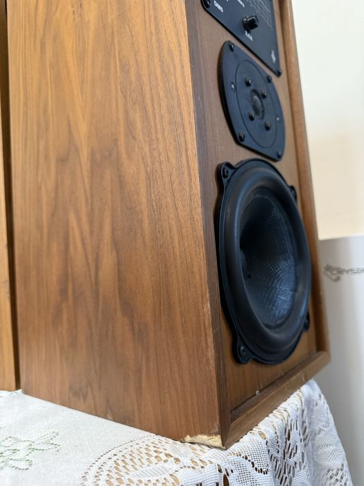 bowers & wilkins DM-5