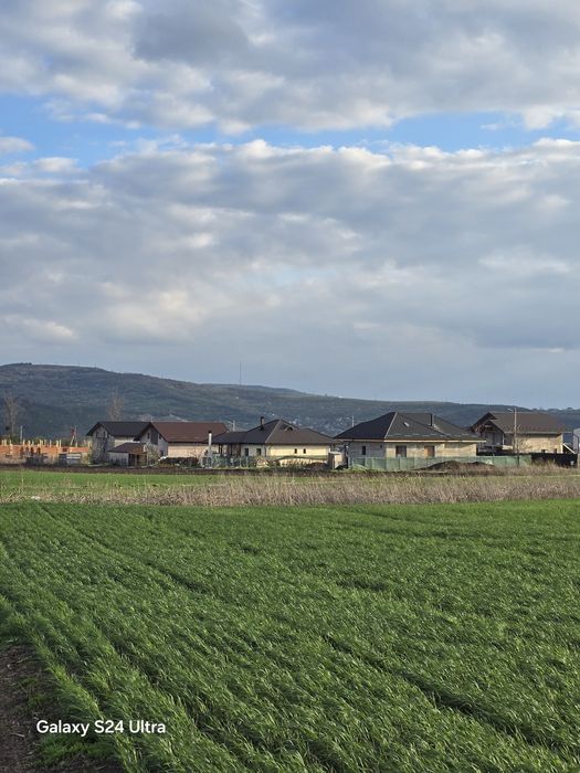 Parcele teren intravilan - Dancu