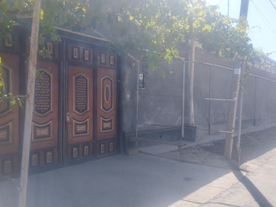 Toshkent shahar olmazor tumani