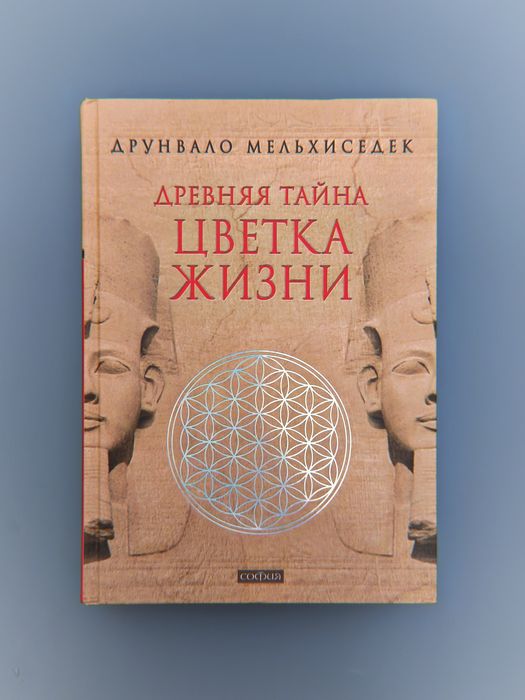 Новые книги в наличии