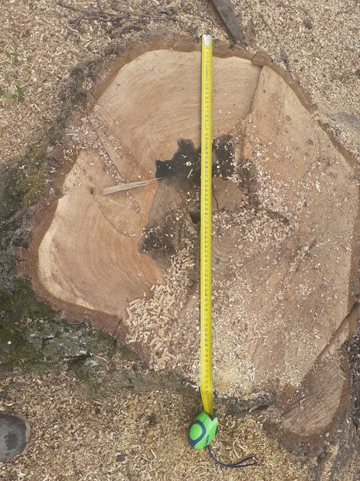 Дървен материал орех