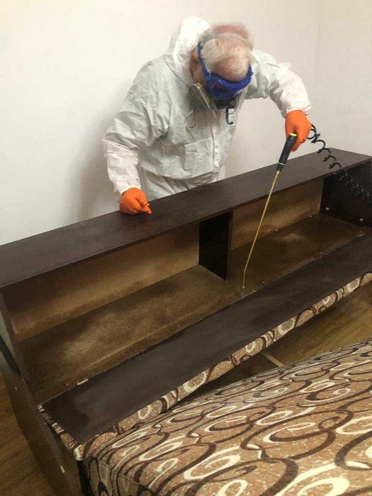 Dezinsectie plosnite, deratizare gandaci, dezinfectii - Dr Clean