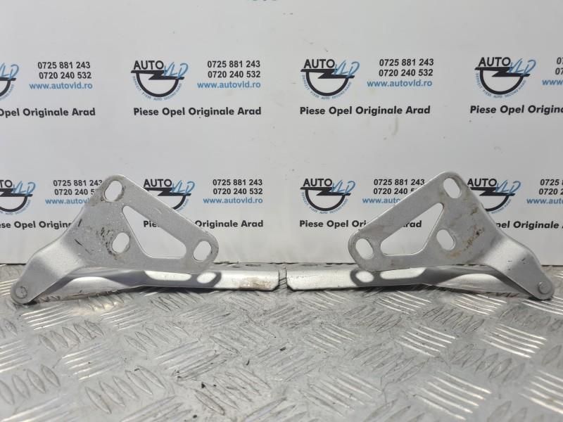 Balamale capota motor stanga dreapta Opel Signum facelift