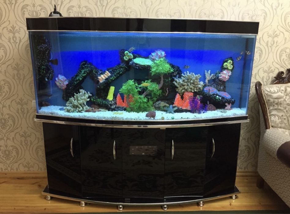 Akvarium Buyurtma asosida yasimiza