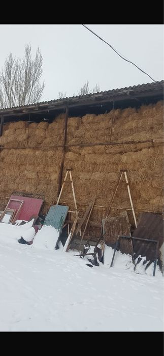 Жоңышка сатылады