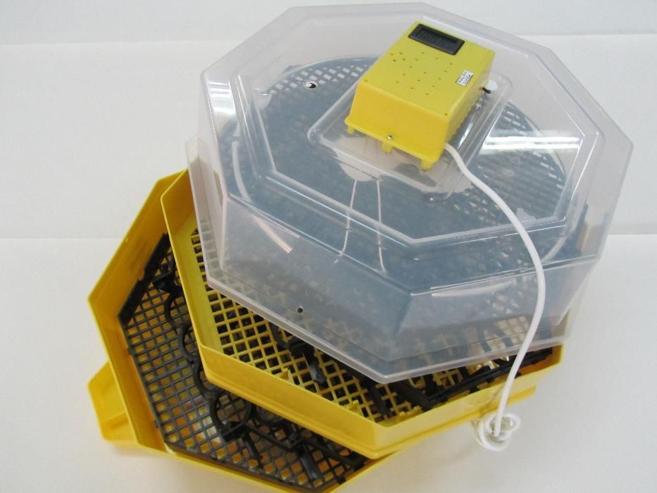 Официалният вносител на румънските инкубатори Клео5 за БГ Гаранция