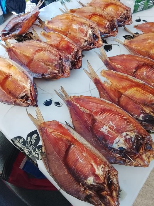 Капченыи балық халодныи капчения