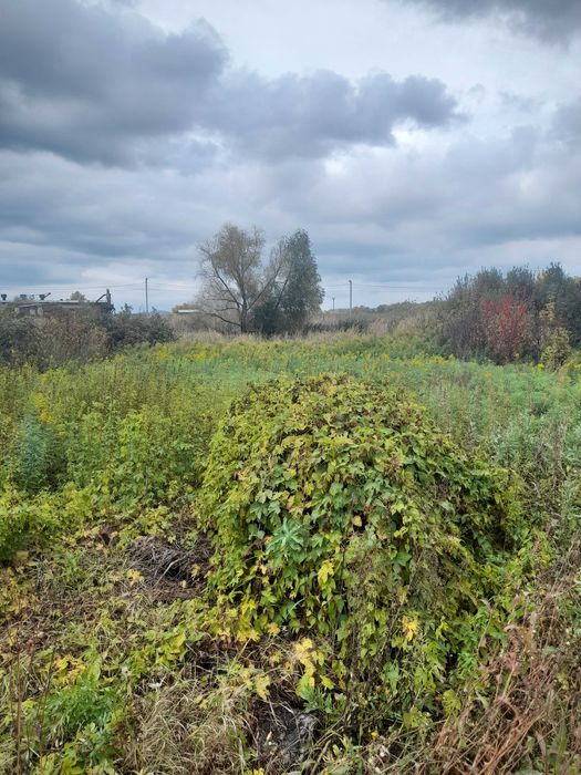 бетономешалка и станок команч 4