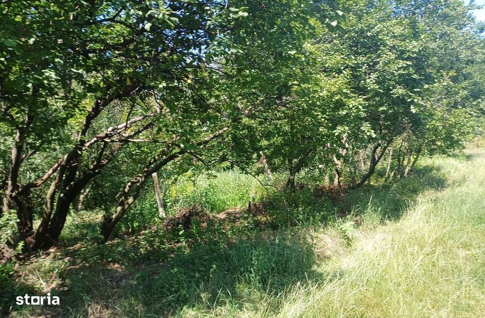 Teren pentru constructii case de vanzare Iasi Copou