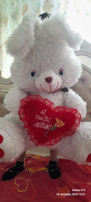 Yumshoq quloqlari uzun quyon