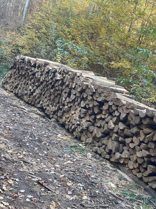 ‼️Depozit autorizat vindem lemne de foc esențe tarii[Fag,Gorun,Carpen,Cer]