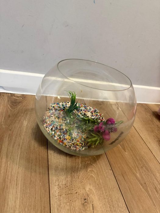 Аквариум с наполнением