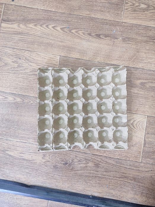 Флейки fleyka...