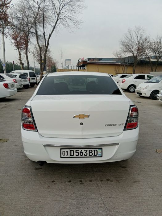 Cobalt mid night toza