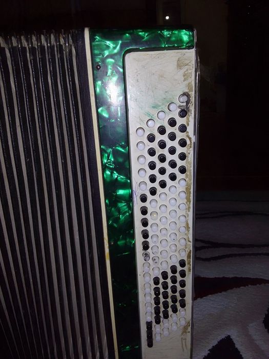 Баян молодечно 2