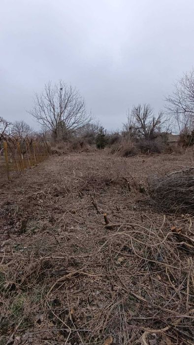 Продава се Парцел в с. Козаревец, Област Велико Търново - 1337 кв.м за 18 €/кв.м - Снимка #2