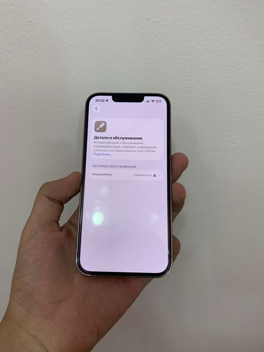 iPhone 13 pro (white)