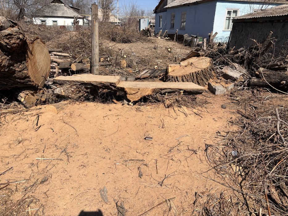 Отдам дрова бесплатно