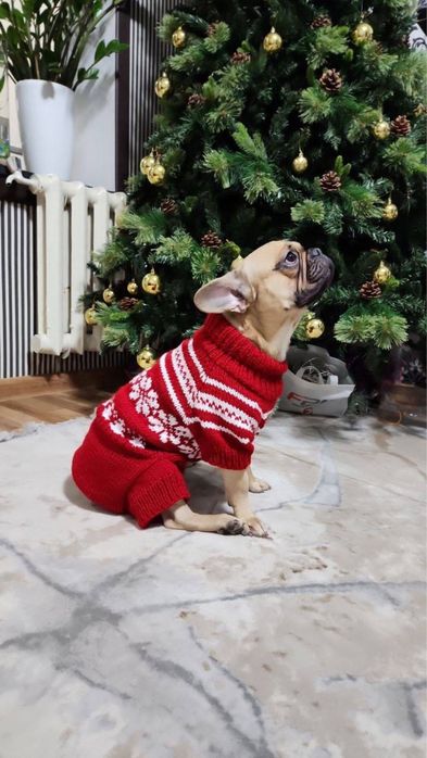 Вязаная одежда для собак и кошек