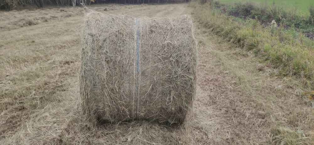 Продам сено в рулонах