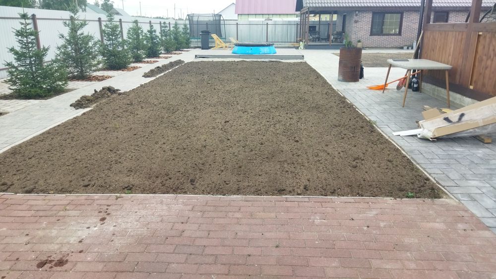 Посевной газон яркий плотный в петропавловске