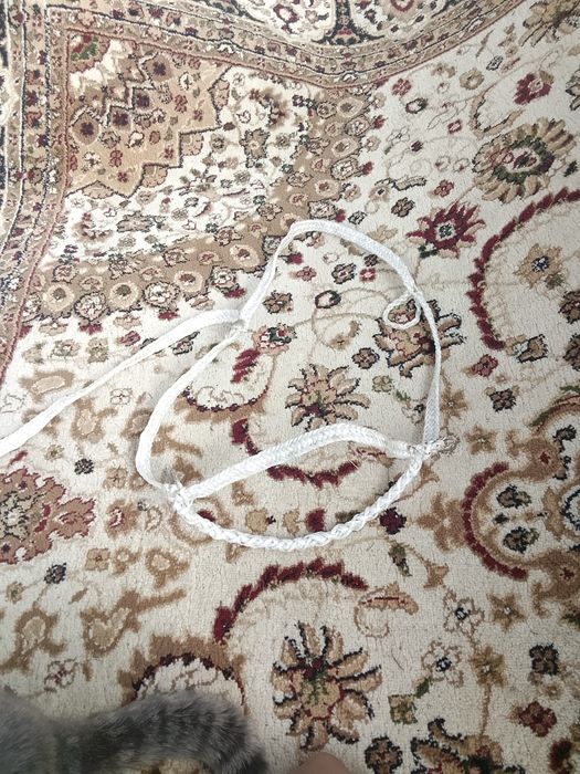 Ноқта жылқыға 8-12өрім