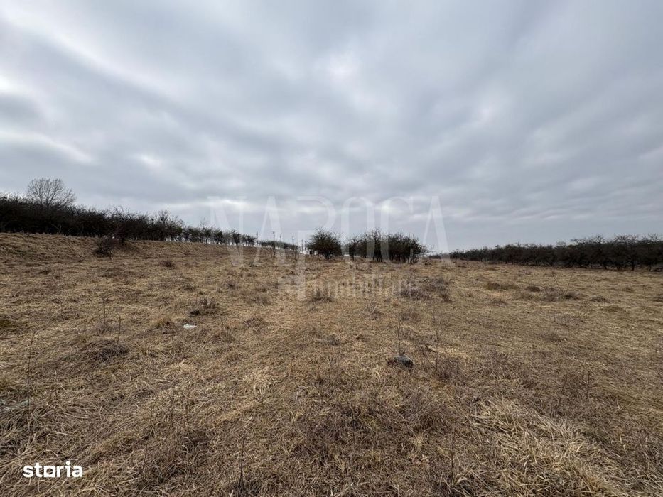 Teren intravilan pentru constructii de vanzare in Feleacu