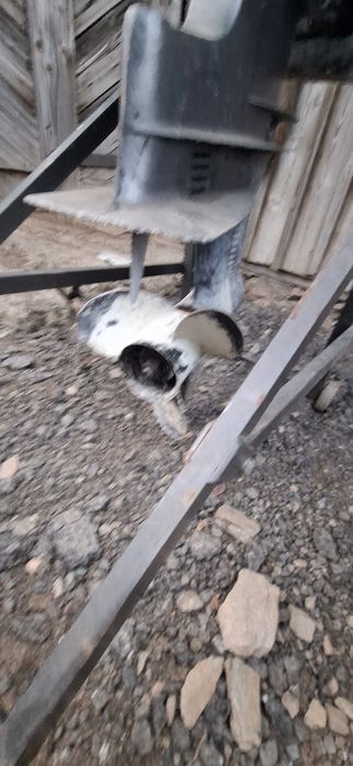 Vand/Dezmembrez Motor barca Mercury 40 cai